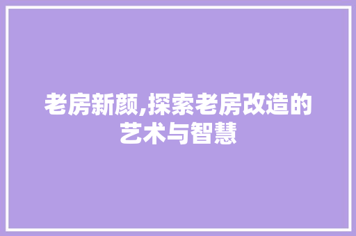 老房新颜,探索老房改造的艺术与智慧 隔断设计