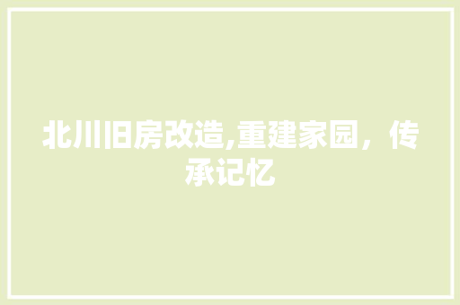 北川旧房改造,重建家园，传承记忆