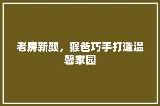 老房新颜，猴爸巧手打造温馨家园 门窗装修