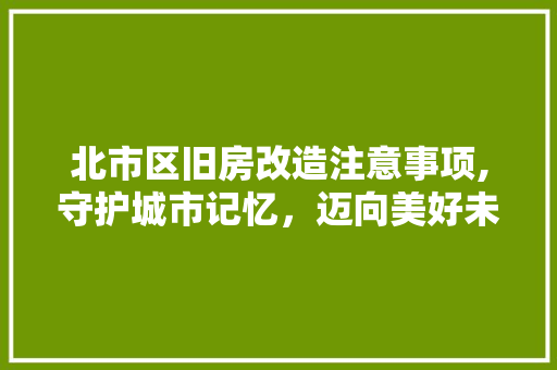 北市区旧房改造注意事项,守护城市记忆，迈向美好未来