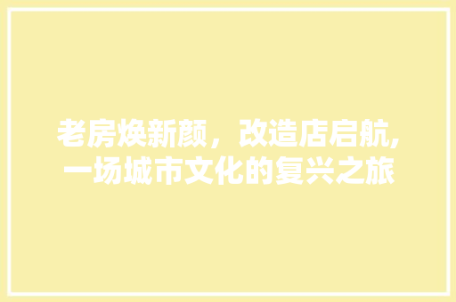 老房焕新颜，改造店启航,一场城市文化的复兴之旅