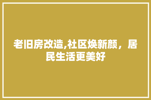 老旧房改造,社区焕新颜，居民生活更美好 建筑设计