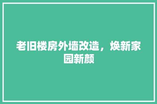 老旧楼房外墙改造，焕新家园新颜