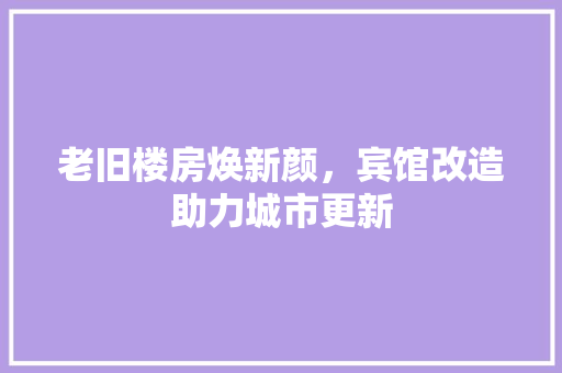老旧楼房焕新颜，宾馆改造助力城市更新