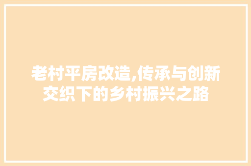 老村平房改造,传承与创新交织下的乡村振兴之路 墙面装饰