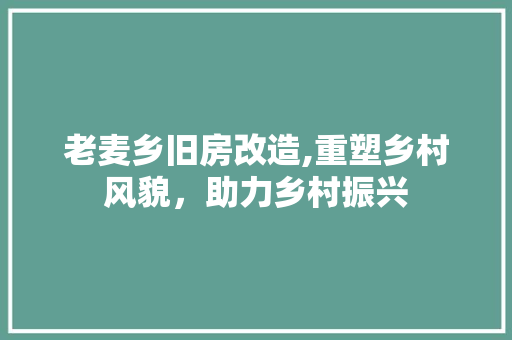 老麦乡旧房改造,重塑乡村风貌，助力乡村振兴