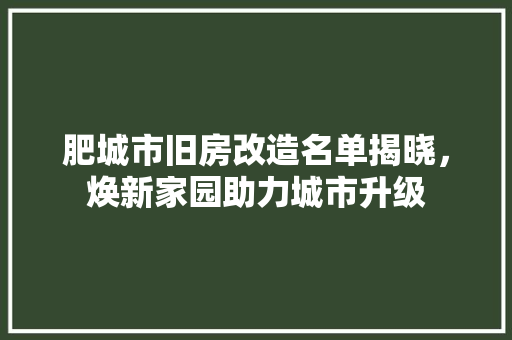 肥城市旧房改造名单揭晓，焕新家园助力城市升级