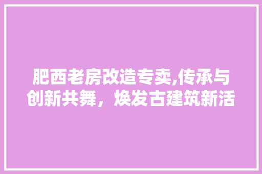 肥西老房改造专卖,传承与创新共舞，焕发古建筑新活力 隔断设计