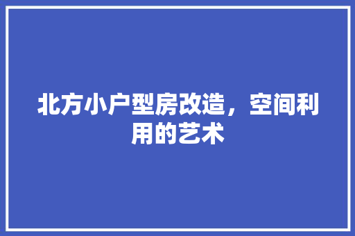 北方小户型房改造，空间利用的艺术