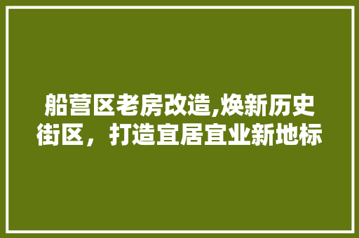 船营区老房改造,焕新历史街区，打造宜居宜业新地标 装修材料