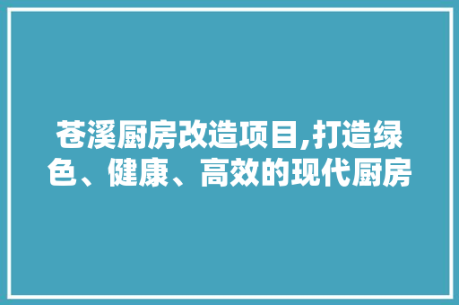 苍溪厨房改造项目,打造绿色、健康、高效的现代厨房空间 庭院装修