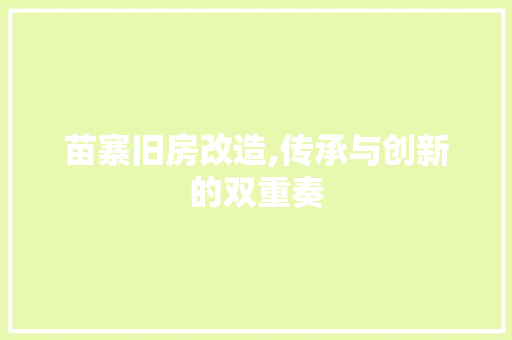 苗寨旧房改造,传承与创新的双重奏