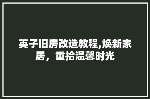 英子旧房改造教程,焕新家居，重拾温馨时光 庭院装修