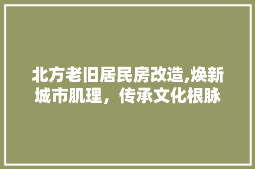 北方老旧居民房改造,焕新城市肌理，传承文化根脉