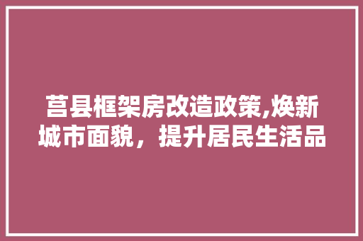莒县框架房改造政策,焕新城市面貌，提升居民生活品质