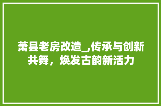 萧县老房改造_,传承与创新共舞，焕发古韵新活力 建筑设计