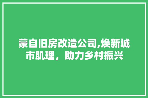 蒙自旧房改造公司,焕新城市肌理，助力乡村振兴 装修材料