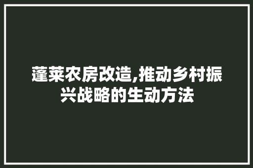 蓬莱农房改造,推动乡村振兴战略的生动方法