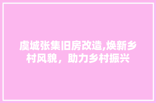 虞城张集旧房改造,焕新乡村风貌，助力乡村振兴