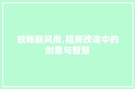 蚊帐新风尚,租房改造中的创意与智慧 庭院装修