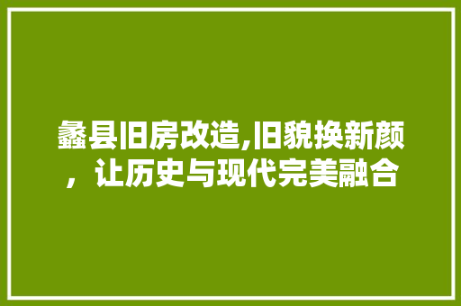 蠡县旧房改造,旧貌换新颜，让历史与现代完美融合 庭院装修