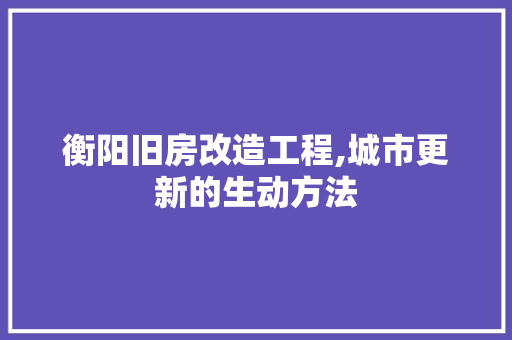 衡阳旧房改造工程,城市更新的生动方法