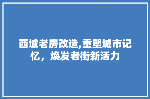 西城老房改造,重塑城市记忆，焕发老街新活力