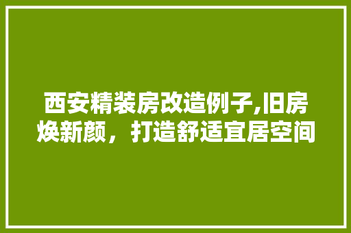 西安精装房改造例子,旧房焕新颜，打造舒适宜居空间