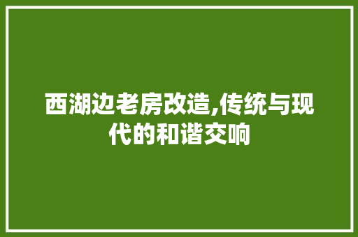 西湖边老房改造,传统与现代的和谐交响 景观设计