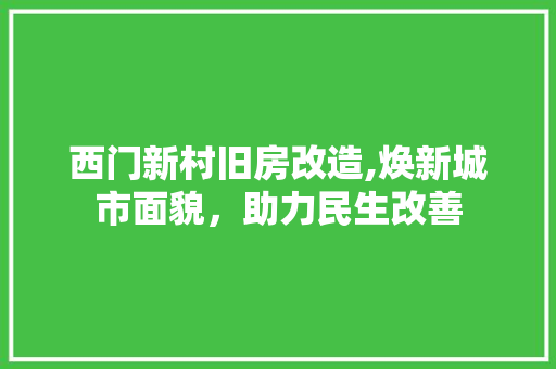 西门新村旧房改造,焕新城市面貌，助力民生改善