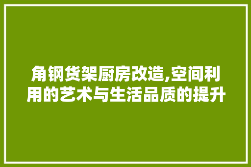 角钢货架厨房改造,空间利用的艺术与生活品质的提升