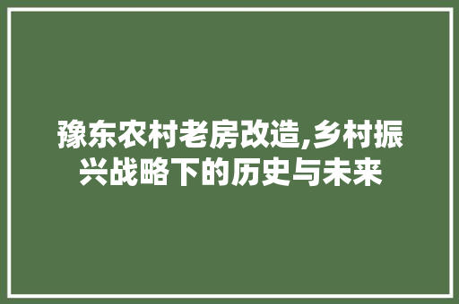 豫东农村老房改造,乡村振兴战略下的历史与未来