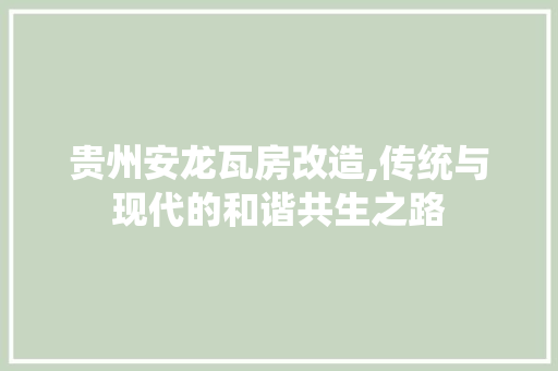 贵州安龙瓦房改造,传统与现代的和谐共生之路