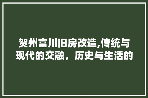 贺州富川旧房改造,传统与现代的交融，历史与生活的交响
