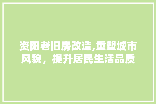 资阳老旧房改造,重塑城市风貌，提升居民生活品质 墙面装饰