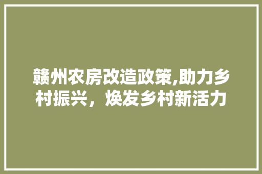 赣州农房改造政策,助力乡村振兴，焕发乡村新活力