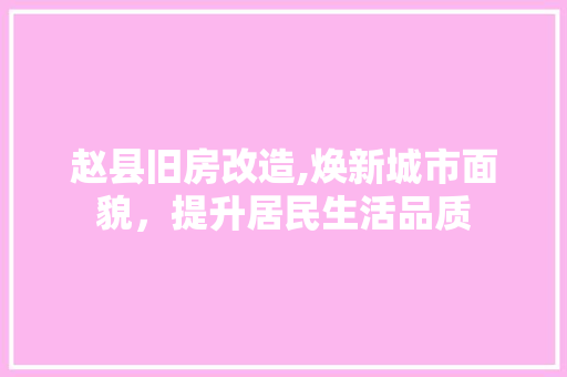 赵县旧房改造,焕新城市面貌，提升居民生活品质 墙面装饰