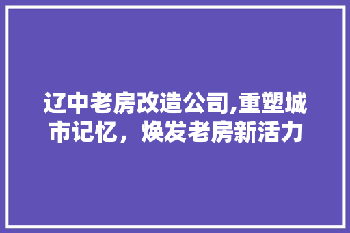 辽中老房改造公司,重塑城市记忆，焕发老房新活力 建筑设计