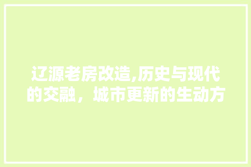 辽源老房改造,历史与现代的交融，城市更新的生动方法 装修材料