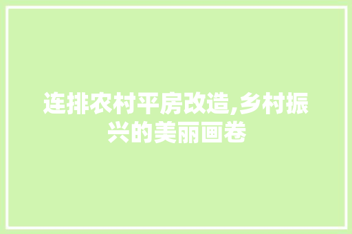 连排农村平房改造,乡村振兴的美丽画卷 装修攻略
