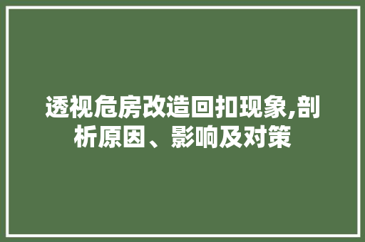 透视危房改造回扣现象,剖析原因、影响及对策 墙面装饰