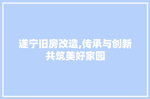 遂宁旧房改造,传承与创新共筑美好家园