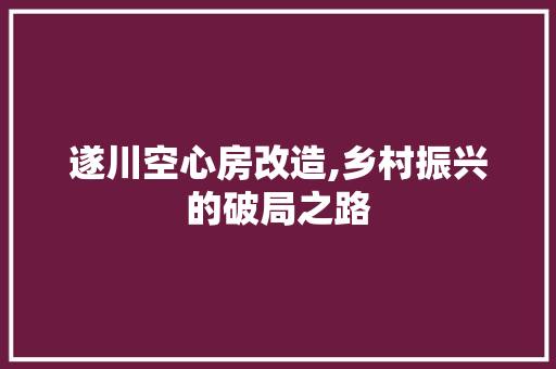 遂川空心房改造,乡村振兴的破局之路