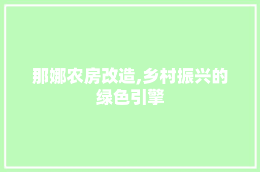 那娜农房改造,乡村振兴的绿色引擎