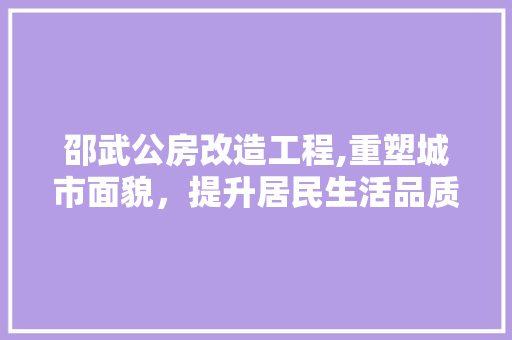 邵武公房改造工程,重塑城市面貌，提升居民生活品质