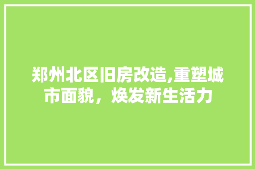 郑州北区旧房改造,重塑城市面貌,焕发新生活力 隔断设计 郑州北区旧房改造,重塑城市面貌,焕发新生活力 隔断设计