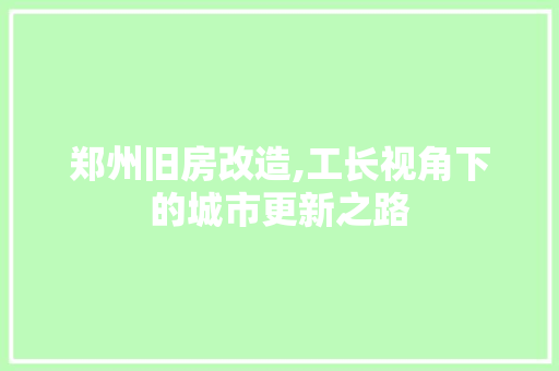 郑州旧房改造,工长视角下的城市更新之路