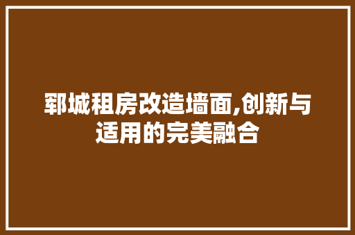 郓城租房改造墙面,创新与适用的完美融合