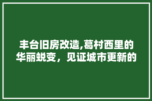 丰台旧房改造,葛村西里的华丽蜕变，见证城市更新的魅力