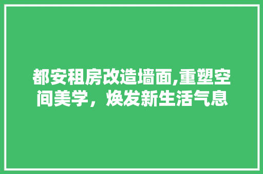 都安租房改造墙面,重塑空间美学，焕发新生活气息